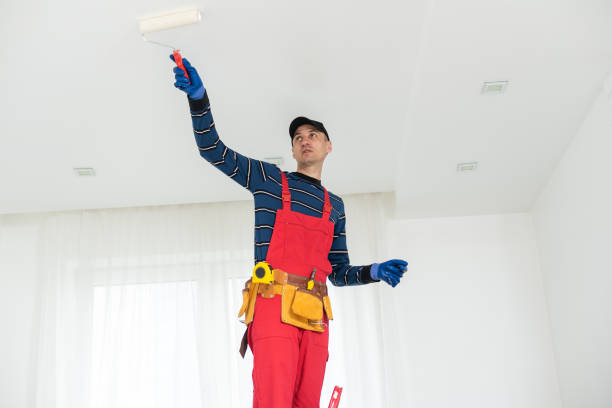 Best Mold Odor Removal Services  in Indiantown, FL