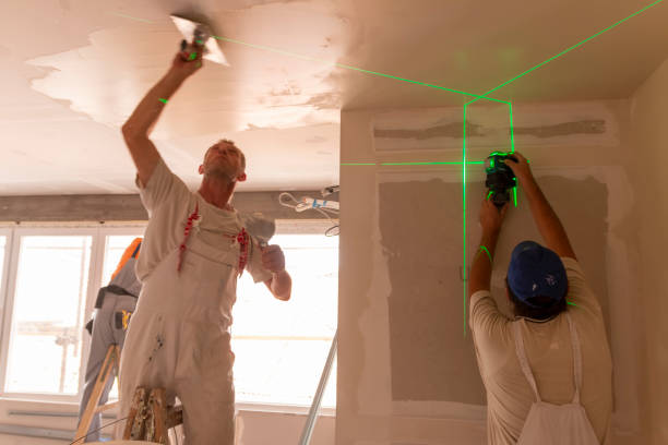 Best Basement Mold Removal  in Indiantown, FL
