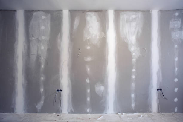 Best Mold-Related Health Consultation  in Indiantown, FL